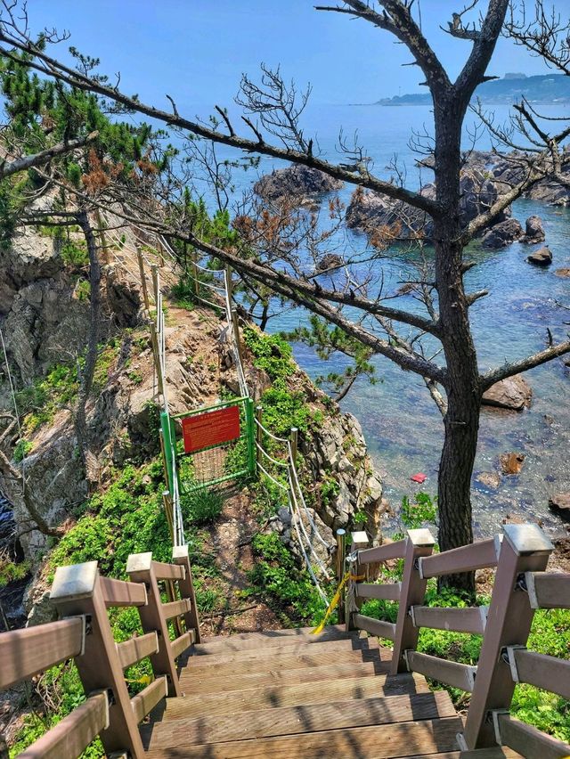 특별하고 아름다운 동굴포토존! 경주 사룡굴🌊