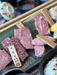 《維園靚景燒肉午餐》