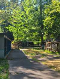 【京都】福知山市動物園