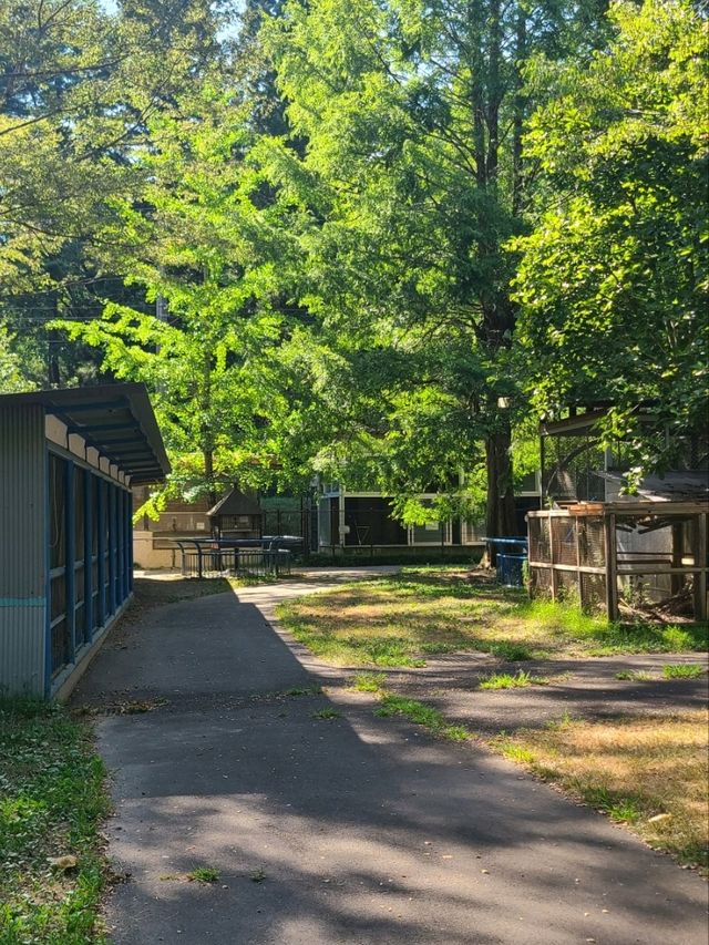 【京都】福知山市動物園