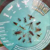 《迷你版生物多樣性博物館在將軍澳》