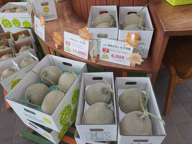 Tomita Melon House