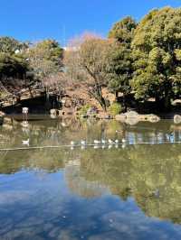 【東京都/牛嶋神社】全国で珍しい三輪鳥居がある神社