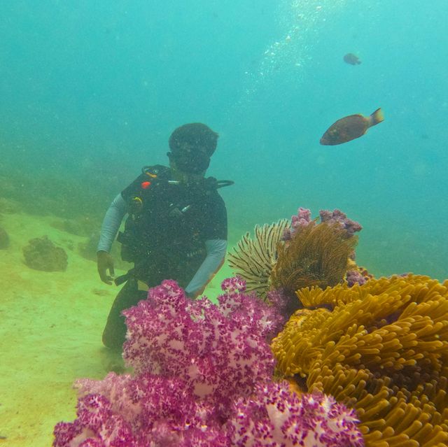 Scuba Diving at SatunDiveResort,Thailand