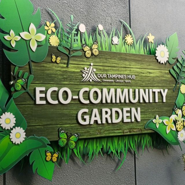 Rooftop Community Garden 
