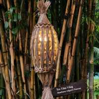 Indulge in The Natural Scenery of Binh Quoi!