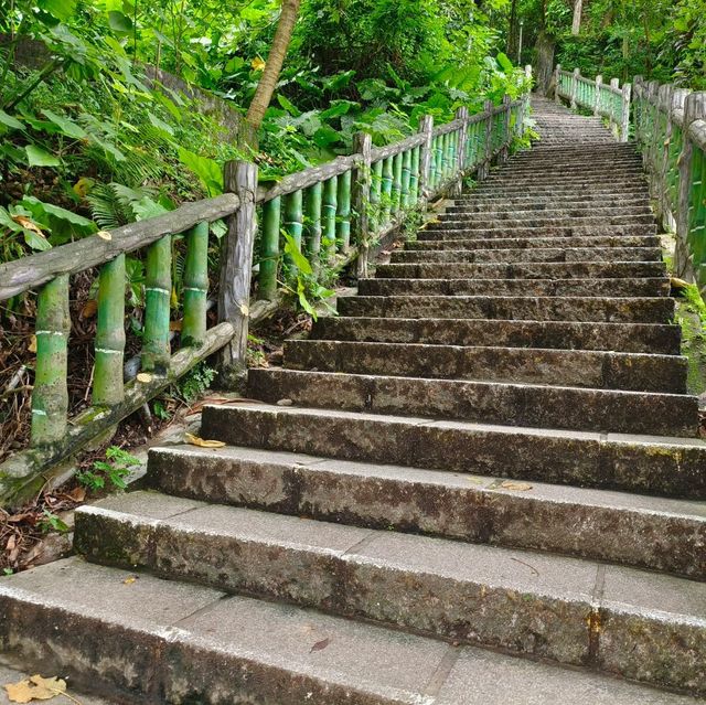台北-爬劍潭山去囉🌿圓山風景區（健康森林步道）