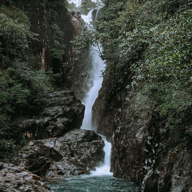 เกาะช้างไม่ได้มีดีแค่ทะเล 🏞🌿
