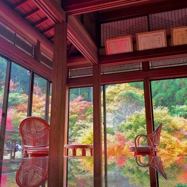 佐賀環境藝術之森😊 亮麗奪目