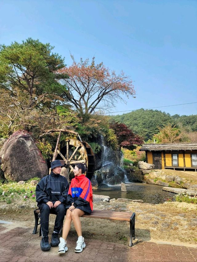 단풍구경도 하고 역사관람도 하는 강릉관광코스🍂