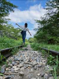 今は使われていない線路🚃エモい廃線跡🫣🤍🫧【京都】