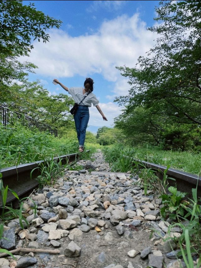 今は使われていない線路🚃エモい廃線跡🫣🤍🫧【京都】