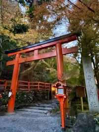 【京都府/貴船神社】清らかな水のある神社