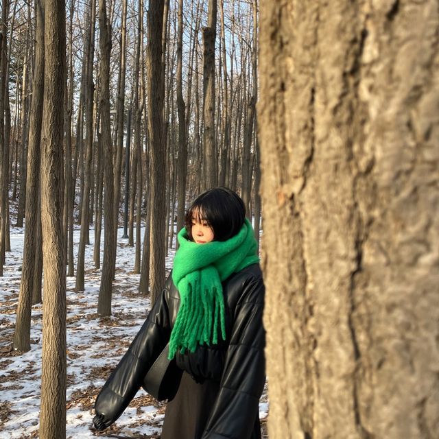 눈으로 예쁜 서울숲