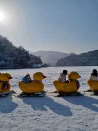 오리기차타고 출발!