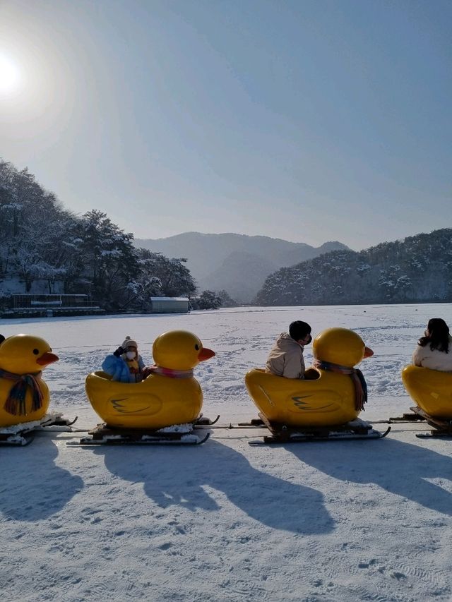 오리기차타고 출발!