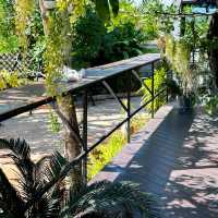 ร่มไม้คาเฟ่ คาเฟ่ริมทาง 304 ปราจีนบุรี