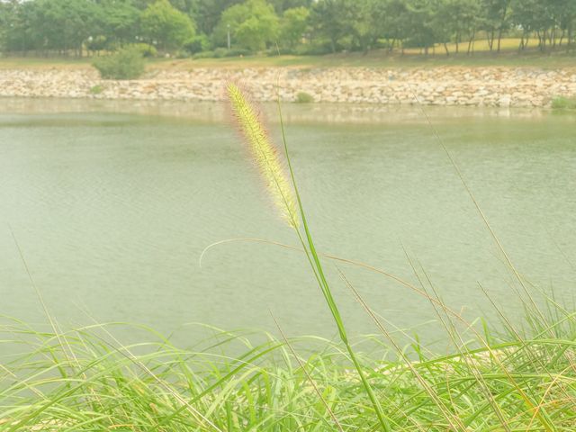 도심속 히든 플레이스 ❤️ 인천 네스트 호텔
