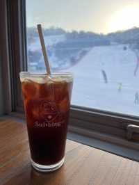 홍천 비발디파크에서 스키 즐기기!⛷️