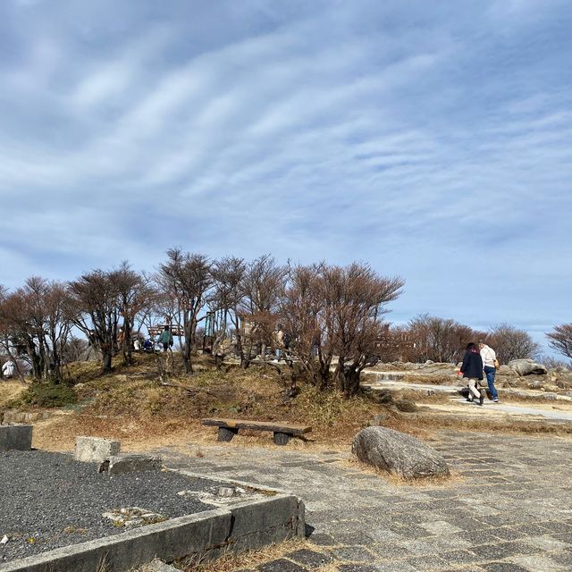 楓葉滿山的美景
