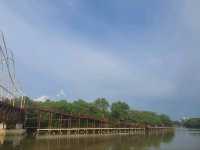 สะพานศึกษาธรรมชาติป่าชายเลน ระยอง🌳