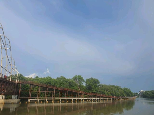 สะพานศึกษาธรรมชาติป่าชายเลน ระยอง🌳