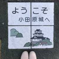 毗鄰東京的中世紀城堡🏯小田原城