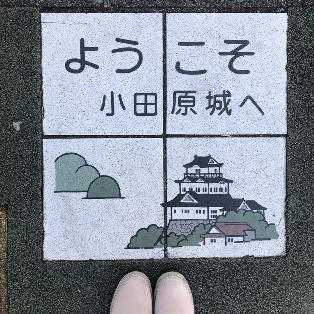 毗鄰東京的中世紀城堡🏯小田原城