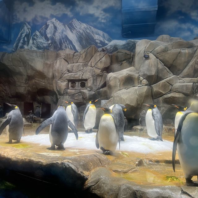 海洋公園：南極奇觀