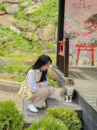 일본 어느 골목 속에서 만난 고양이🐈