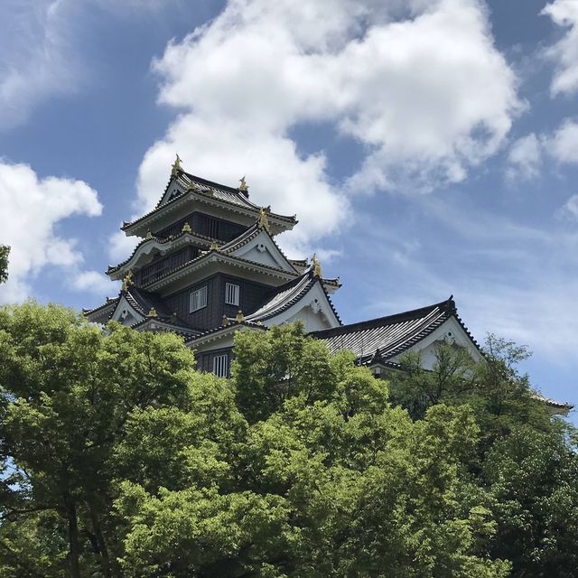 岡山代表地🤪岡山城🫶🏻歷史建築🈴️旅遊必到