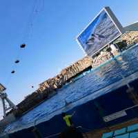 【日本　名古屋港水族館】