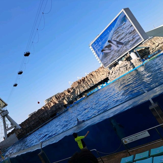 【日本　名古屋港水族館】