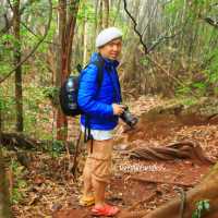 ยอดผาแดง จุดชมวิวสุดอันซีนแห่งเมืองหนองเขียว