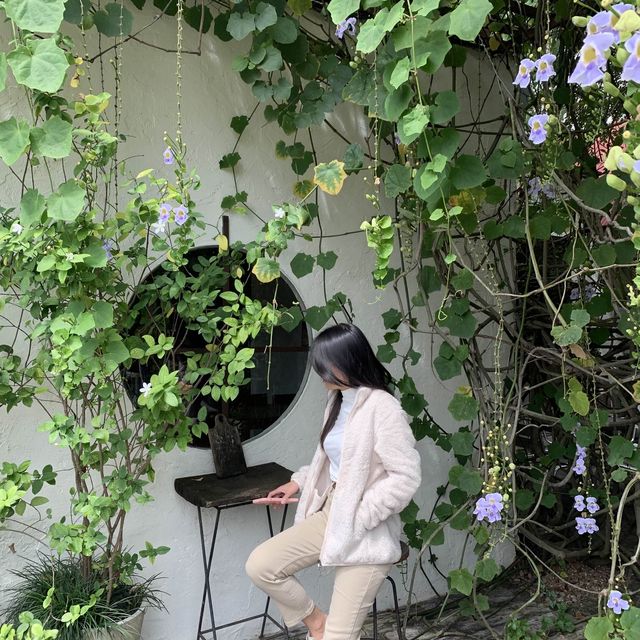Charlotte hut 📍 เมืองแพร่ .,