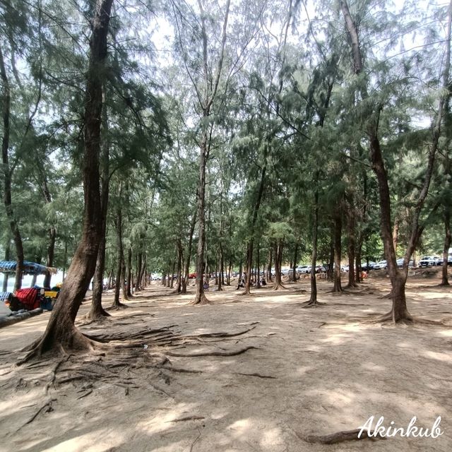 พักผ่อน เล่นน้ำ @หาดนางรอง