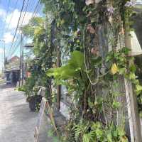 Decafo Cafe