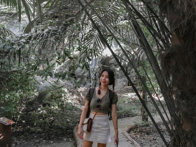 หุบป่าตาด ป่าดึกดำบรรพ์ จ.อุทัยธานี