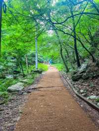 장마철 등산으로 리플레쉬하기🌿 모악산 등반⛰️