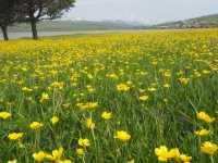 Go Wild on off road trip to Lake Paravani