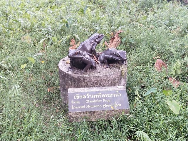 อุทยานแห่งชาติทะเลบัน