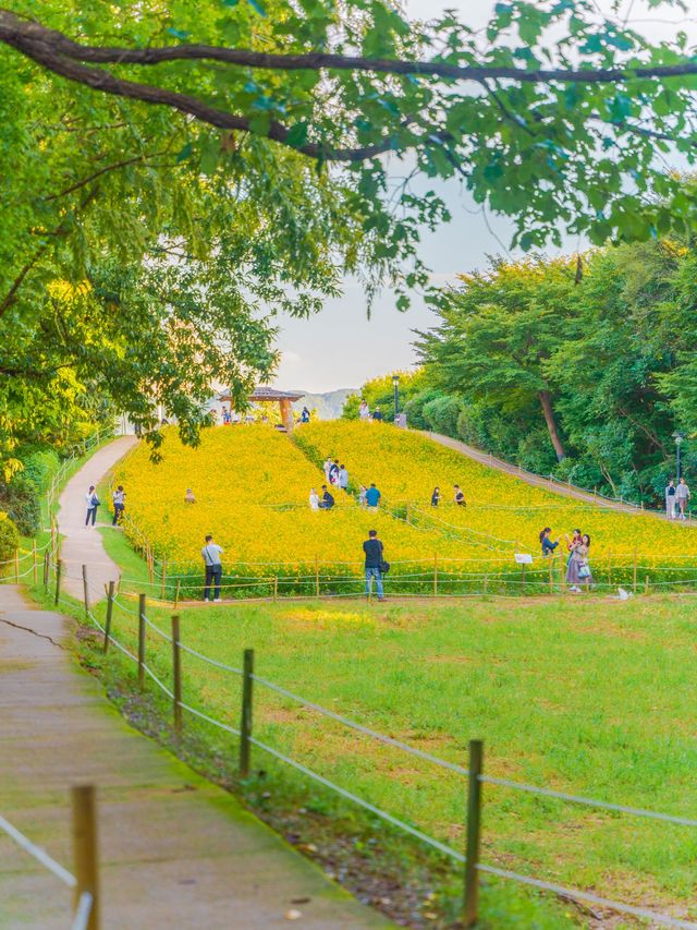 지금 서울에서 가장 먼저 달려가야 할 곳🌼 