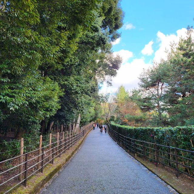 arashiyama