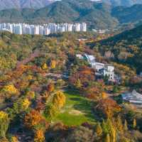 Autumn Festival Daegu Arboretum 