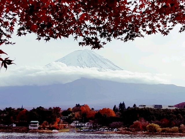 Autumn foliage at Fuji Kawaguchiko