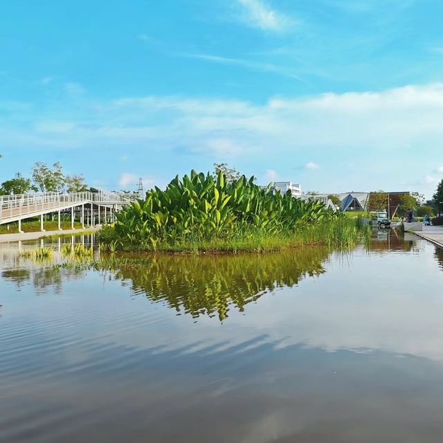 🌳🔬 左岸科技公園～幾何形狀與自然的完美融合！🏞️🔬💡