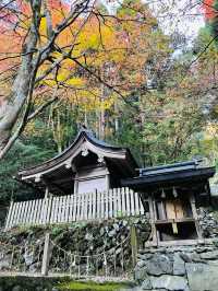 【京都府/貴船神社】清らかな水のある神社