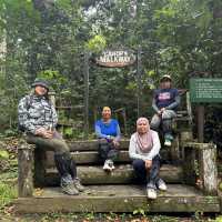 The amazing Danum Valley
