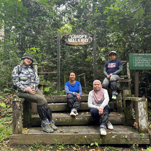 The amazing Danum Valley