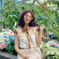 🌷ดอกทิวลิปบานแล้วที่ระยอง อยู่ในพื้นที่มาบตาพุด 